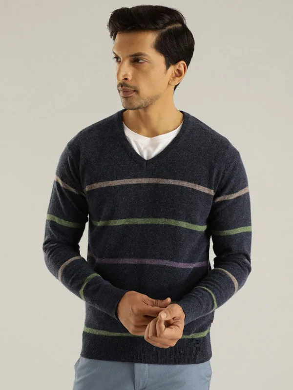 Men Striped Full Sleeve V-Neck Sweater